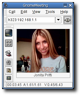 GnomeMeeting In a Call